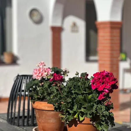 Gran Vista